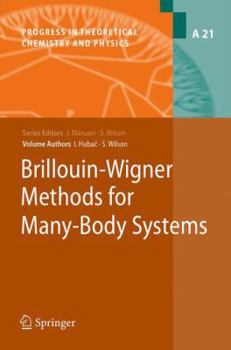 Paperback Brillouin-Wigner Methods for Many-Body Systems Book