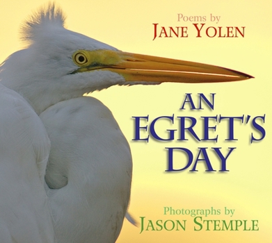 Hardcover An Egret's Day Book