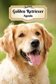 2020 Golden Retriever Agenda: 107 Pagine | Dimensioni DIN A5 | Pianificatore Settimanale | 12 Mesi | Due Pagine Per Settimana | Calendario | Diario | Cane (Italian Edition)