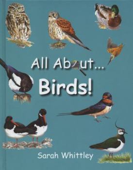 Hardcover All about Birds. Sarah Whittley Book