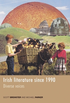 Paperback Irish Literature Since 1990: Diverse Voices Book