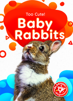 Paperback Baby Rabbits Book