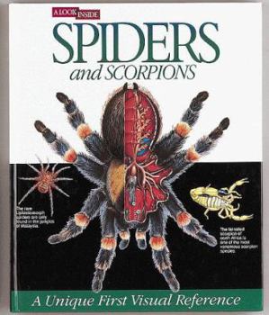 Hardcover A Look Inside Spiders and Scorpions Book