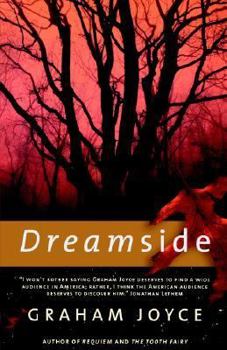 Paperback Dreamside Book