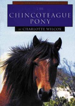 Hardcover The Chincoteague Pony Book