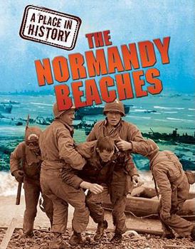 Library Binding The Normandy Beaches Book