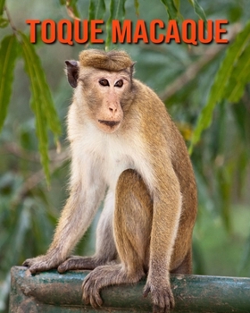 Paperback Toque Macaque: Amazing Facts about Toque Macaque Book