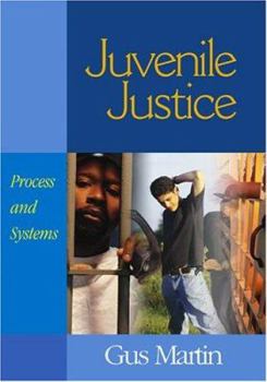 Hardcover Juvenile Justice: Process and Systems Book