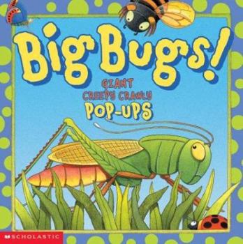 Hardcover Big Bugs!: Giant Creepy Crawly Pop-Ups Book