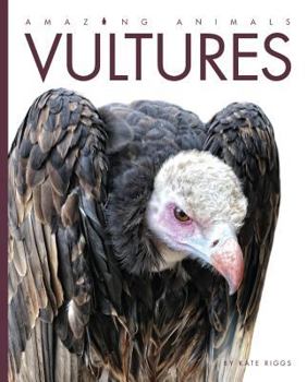 Library Binding Amazing Animals Vultures Book