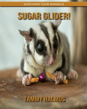 Sugar Glider! (Discover Your Animals)