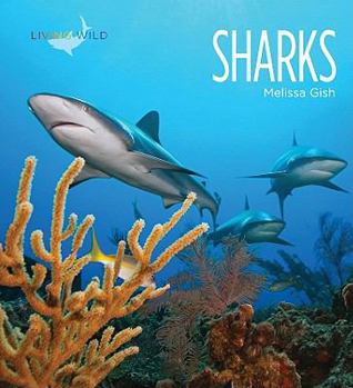 Sharks - Book  of the Living Wild