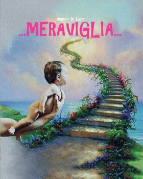 Paperback ...Meraviglia... [Italian] Book