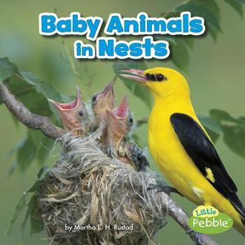 Hardcover Baby Animals in Nests Book