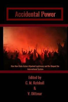 Paperback Accidental Power: How Non-State Actors Hijacked Legitimacy and Re-Shaped the International System Book