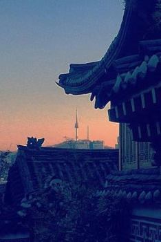 Paperback Hangul Practice Notebook: Korean Language Workbook for Alphabet and Writing Exercises Book