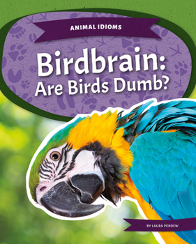 Paperback Birdbrain: Are Birds Dumb? Book