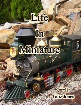 Paperback Life In Miniature Book