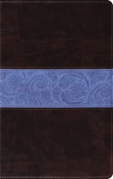 Imitation Leather Thinline Bible-ESV-Paisley Band Design Book