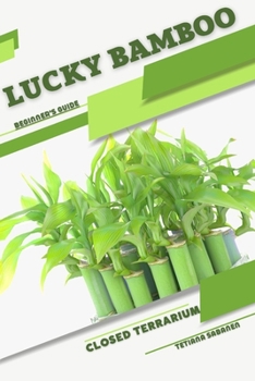 Paperback Lucky Bamboo: Closed terrarium, Beginner's Guide Book