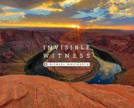 Hardcover Invisible Witness Book