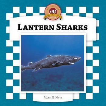 Library Binding Lantern Sharks Book
