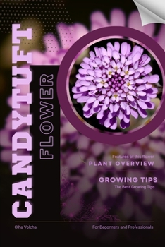 Candytuft: Flower overview and Growing Tips