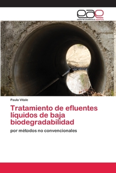 Paperback Tratamiento de efluentes líquidos de baja biodegradabilidad [Spanish] Book