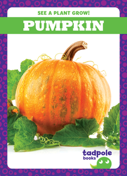 Paperback Pumpkin Book