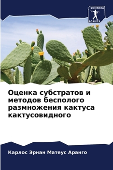 Paperback &#1054;&#1094;&#1077;&#1085;&#1082;&#1072; &#1089;&#1091;&#1073;&#1089;&#1090;&#1088;&#1072;&#1090;&#1086;&#1074; &#1080; &#1084;&#1077;&#1090;&#1086; [Russian] Book