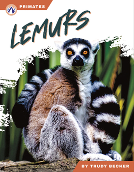 Lemurs (Primates)
