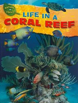 Paperback Life in a Coral Reef Book