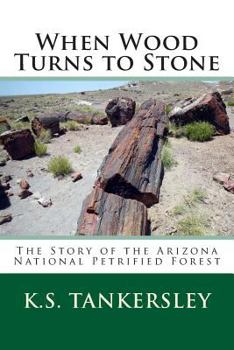 Paperback When Wood Turns to Stone: The Story of the Arizona National Petrified Forest Book