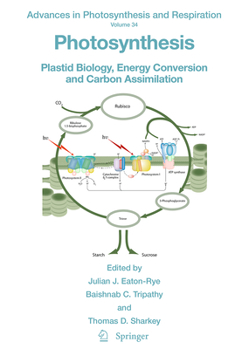 Paperback Photosynthesis: Plastid Biology, Energy Conversion and Carbon Assimilation Book