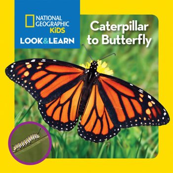 Board book National Geographic Kids Look and Learn: Caterpillar to Butterfly Book