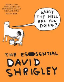 Paperback What The Hell Are You Doing?: The Essential David Shrigley Book