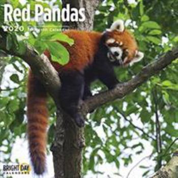 2020 Red Panda