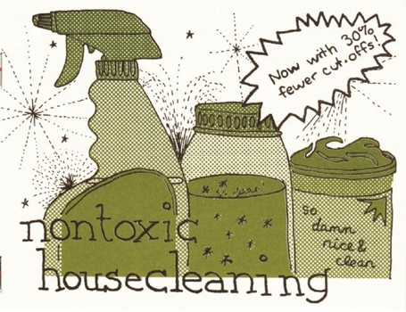 Paperback Nontoxic Housecleaning Book