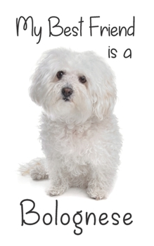 Paperback My best Friend is a Bolognese: 8" x 5" Blank lined Journal Notebook 120 College Ruled Pages Book