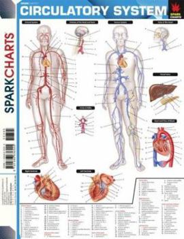 Paperback Circulatory System (Sparkcharts) Book