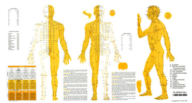 Poster Touch for Health Meridian Chart: Acupuncture Meridian Chart Book