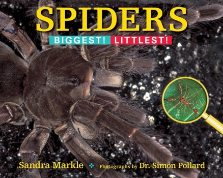 Paperback Spiders: Biggest! Littlest! Book