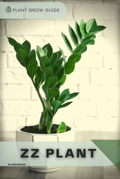 ZZ Plant: Plants guide