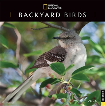 Calendar National Geographic: Backyard Birds 2024 Wall Calendar Book