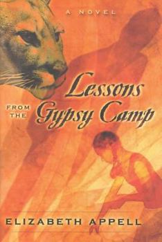 Paperback Lessons from the Gypsy Camp: Consequences Book