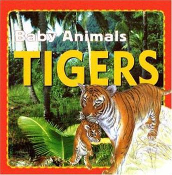 Hardcover Tigers (Baby Animals) Book