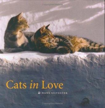 Paperback Cats in Love Book
