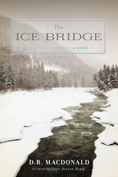 Hardcover The Ice Bridge Book