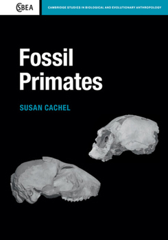Paperback Fossil Primates Book