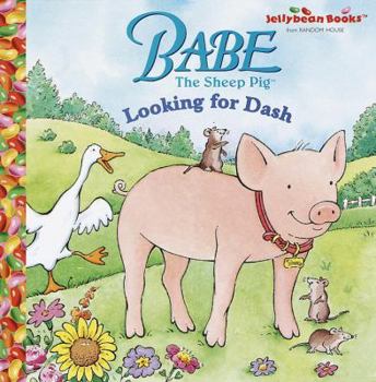 Hardcover Babe: Looking for Dash Book